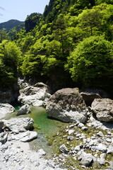 天川村川迫川渓谷の新緑と青空と吊り橋