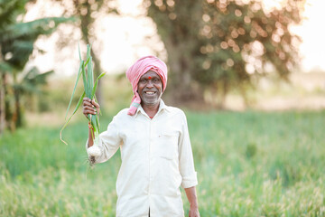 Indian farmer holding onion plant