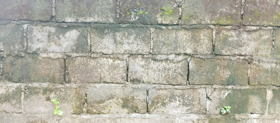 The texture of the walls of the house