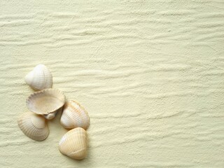 Pile of seashells on a beige background