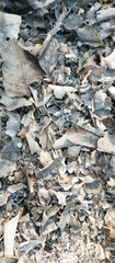 ash of burnt leaves