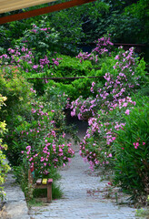 Nebiler Waterfall and Aglayan Cave, located in Dikili, Izmir, Turkey, is a tourist destination with a walking track and picnic area.