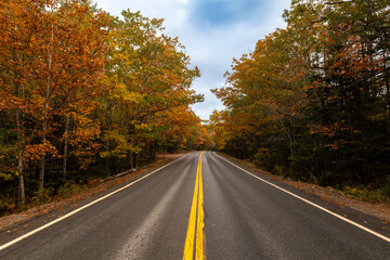 Scenic view of a road wih trees with the Autumn colors foliage in the State of Maine, USA.