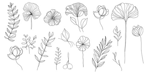 set of different flowers. Vector collection outline flowers and leaves.  