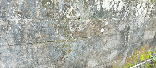 The cement wall of the old house