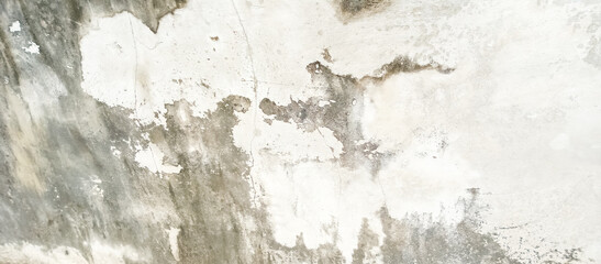Obraz premium The cement wall of the old house