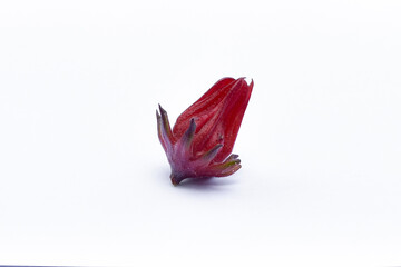 Rosella flowers are used as tea and traditional herbal medicine, Hibiscus sabdariffa Linn, Jamaica...