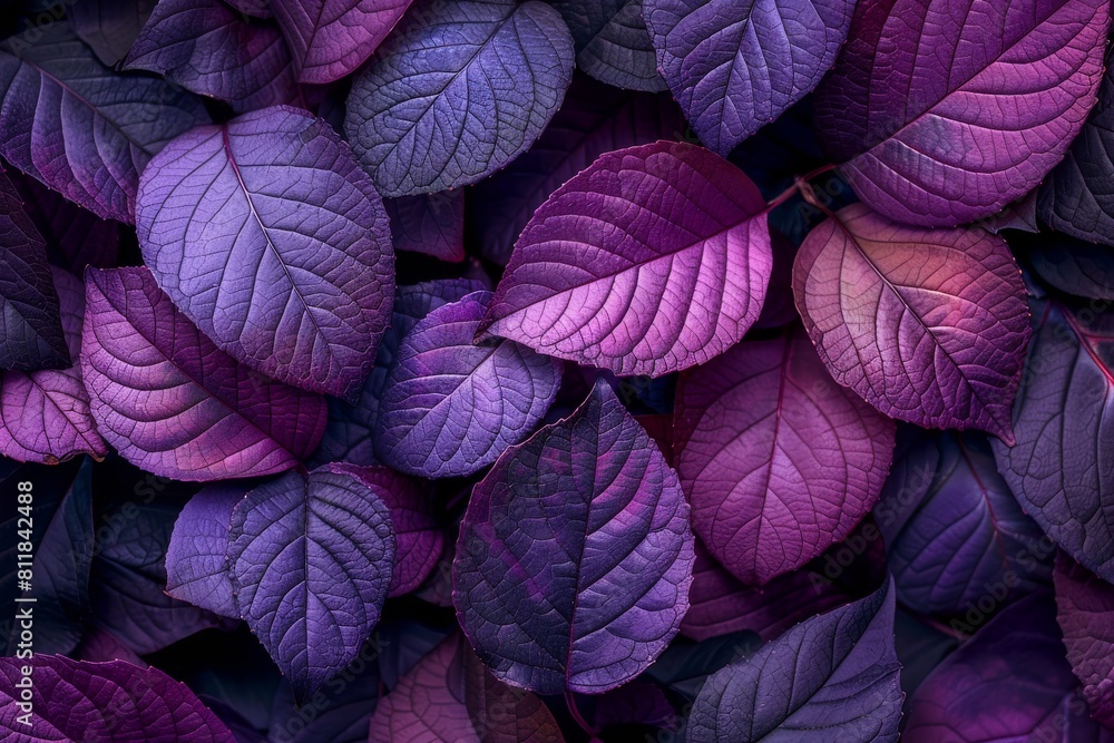Poster this detailed image features a multicolored leaves pattern with a beautiful play of light and shadow