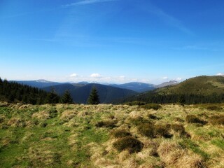 Beautiful Springtime in the Mountains