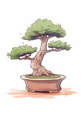 bonsai tree trimming in a serene workshop
