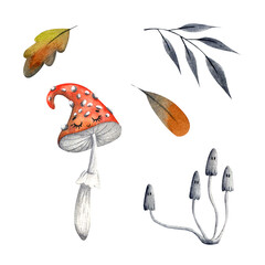 Hand-drawn watercolor autumn set with mushrooms and leaves