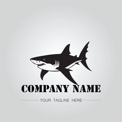 Shark silhouette illustration design for company logo vector image on the white background	
