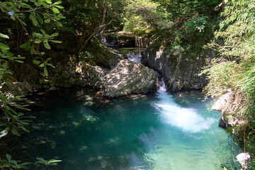 Naklejka premium 【河津七滝】透き通るエメラルドグリーンの滝壺