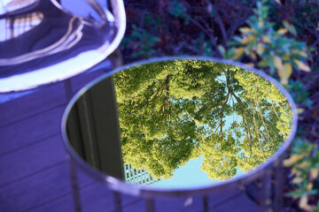鏡面のテーブルに映り込んだ樹木の風景