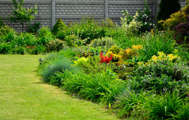 piękny ogród, rabata z bylinami i krzewami w wiosennym ogrodzie, kolorowa rabata w ogrodzie,...