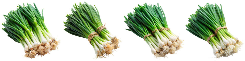 Green onion vegetable on transparent background PNG file