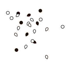 seeds and grains for sprinkling baked goods