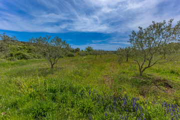 Rest on the Adriatic Sea, May weekend in Croatia, visiting Rovinj on the Istrian