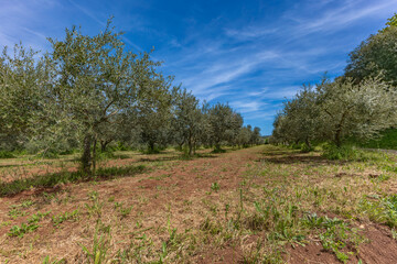 Rest on the Adriatic Sea, May weekend in Croatia, visiting Rovinj on the Istrian