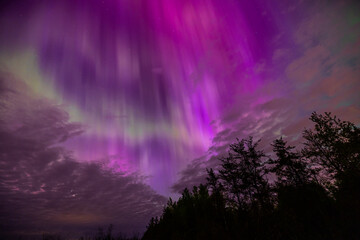 Northern Lights (Aurora Borealis) lighting up the sky on a beautiful spring night west of Ottawa, Canada