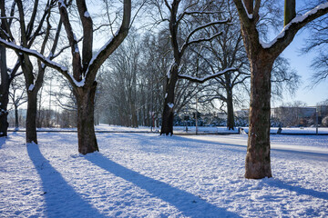 Winter Serenity at Aachener Weiher, Cologne: Snow-Covered Park Under Bright Sunlight