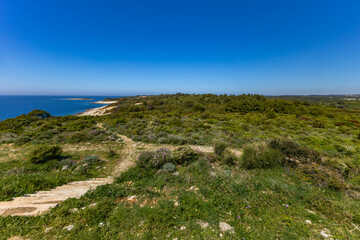 Istria Kamenjak Peninsula beautiful beaches high cliffs for jumping into the water wild nature