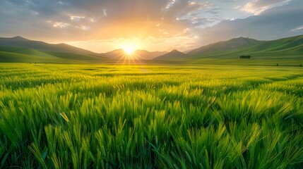 Fototapeta premium A green field with mountains in the background.