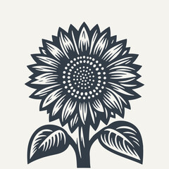 Sunflower. Woodcut engraving style vector illustration.