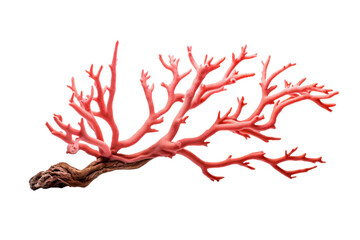 A red coral branch with pink and white spots. The branch is long and thin, and it looks like it's made of plastic
