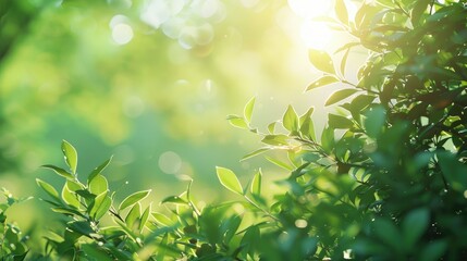 green leaves, minimalistic natural backdrop