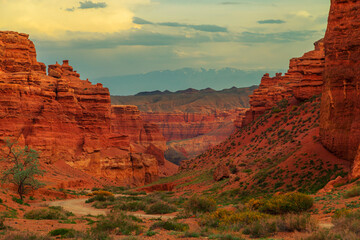View of the Charyn Canyon at sunset. South-Eastern Kazakhstan.