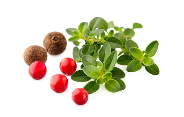 Thyme  fresh isolated on white background.  Thyme with pepper. Spice closeup.