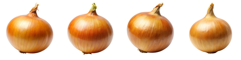 Onion on transparent background PNG file