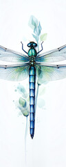A beautiful watercolor painting of a dragonfly