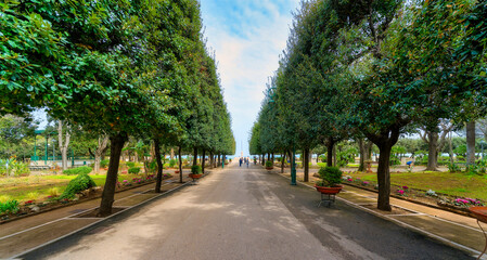 alley in the park, Trani, Apulia, Italy, Europe, 27.3.2024