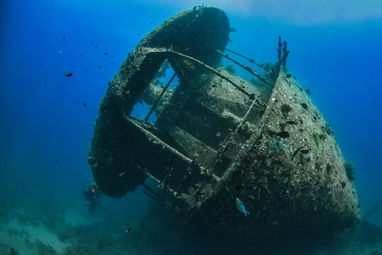 The enigmatic Thistlegorm shipwreck rests silently on the ocean floor, its rusting hull now a complex habitat for marine life. 