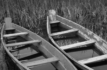 Old broken wooden boats filled with water