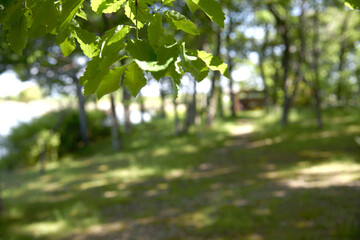 兵庫県稲美町・湖畔の風景