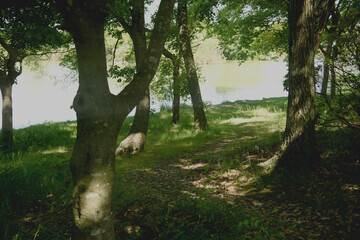 兵庫県稲美町・湖畔の風景