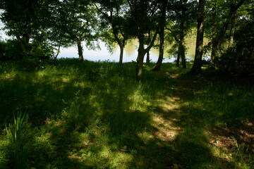 兵庫県稲美町・湖畔の風景