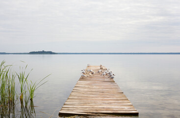Wooden pier in a lake Svitiaz in Ukraine.