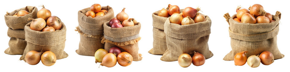 Set of fresh onions in burlap sacks isolated on transparent background PNG file