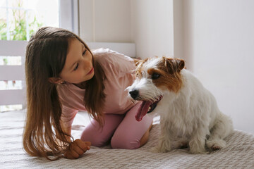 Portrait of 6 year old girl playing with wire haired jack russell terrier puppy at home. Close up, copy space, background.