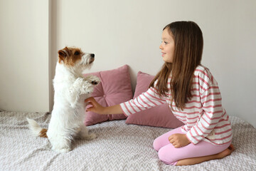 Six year old teaching her wire haired jack russell terrier to sit pretty. Little girl trains her...