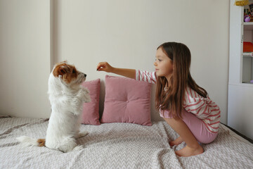 Six year old teaching her wire haired jack russell terrier to sit pretty. Little girl trains her rough coated pup at home. Close up, copy space, background.