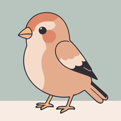 Vector illustration of a cute Finch for toddlers books