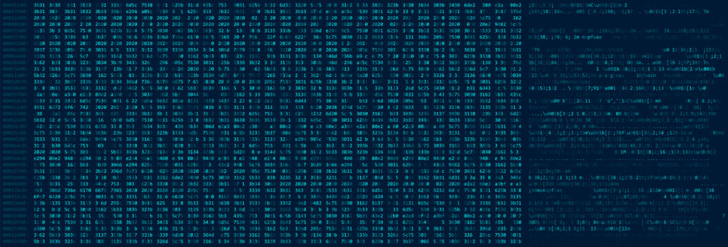 Abstract Blue Binary Software Programming Code Background. Random Parts of Program Code. Digital Data Technology Concept. Random Binary Data Matrix Wide Cyber Vector Illustration.