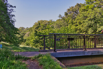 Obraz premium 森の中の橋