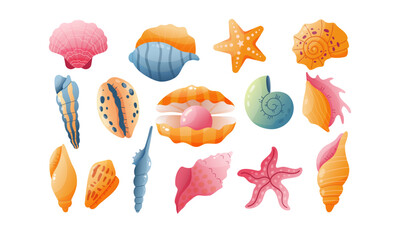 15 bright vector stickers of sea and ocean shells