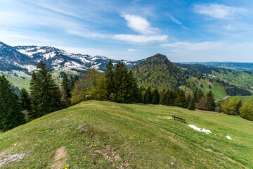 Beautiful panoramic circular hiking trail to the Denneberg at the Nagelfluhkette near Oberstaufen Steibis